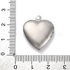 304 Stainless Steel Pendants&nbsp;STAS-S171-13P-07
