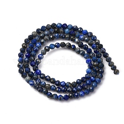 Natural Lapis Lazuli Beads Strands&nbsp;G-RM241221-B19