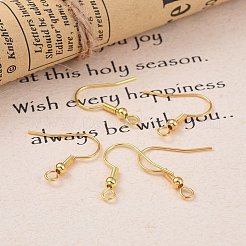 Iron Earring Hooks&nbsp;IFIN-YW0001-07G