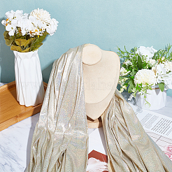 Laser Polyester Bronzing Fabric&nbsp;DIY-WH0491-24