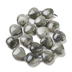 Natural Labradorite Beads Strands&nbsp;G-C150-A17-01