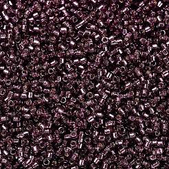 MIYUKI Delica Beads&nbsp;X-SEED-J020-DB2170