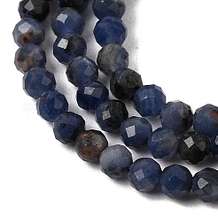Natural Sodalite Bead Strands&nbsp;G-P279-58-3mm-01