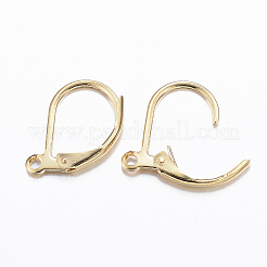 316L Surgical Stainless Steel Leverback Earring Findings&nbsp;X-STAS-E194-03G