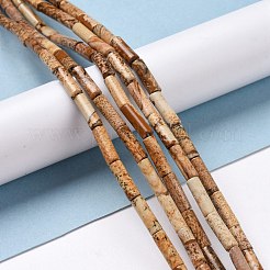 Natural Picture Jasper Beads Strands&nbsp;G-D464-13
