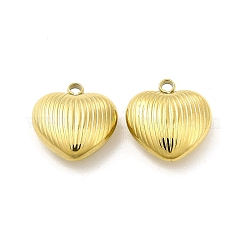 Ion Plating(IP) 304 Stainless Steel Charms&nbsp;STAS-F284-10G