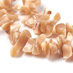 Freshwater Shell Beads Strands&nbsp;BSHE-O017-11