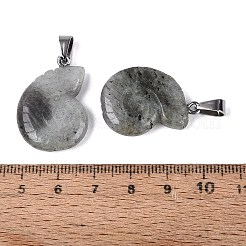 Natural Labradorite Pendants&nbsp;G-Q601-45B
