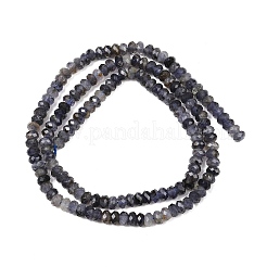 Natural Iolite Beads Strands&nbsp;G-P612-A02-01