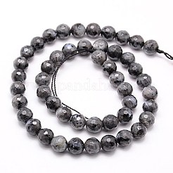 Natural Larvikite Beads Strands&nbsp;G-G736-01-10mm