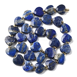 Natural Lapis Lazuli Beads Strands&nbsp;G-B044-B19-01