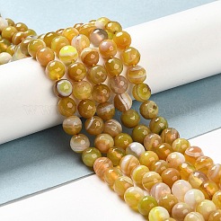 Natural Striped Agate/Banded Agate Beads Strands&nbsp;G-A246-8mm-01