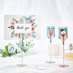 3Pcs 3 Colors Iron Business Cards Display Clamp&nbsp;ODIS-GF0001-03