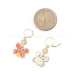 9Pair Alloy Enamel Dangle Earrings&nbsp;EJEW-JE06553