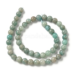 Natural Amazonite Beads Strands&nbsp;G-K068-03-8mm
