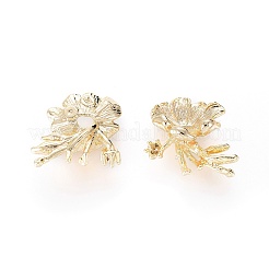 Brass Rhinestone Settings&nbsp;KK-G151-54G