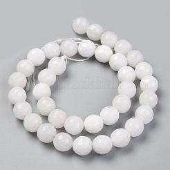 Natural Malaysia Jade Bead Strands&nbsp;G-F488-10mm-40