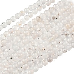 Natural Dendritic Agate Beads Strands&nbsp;G-C011-4mm-01