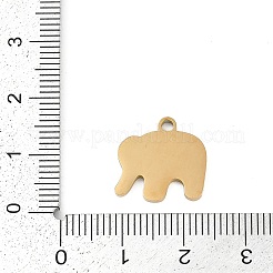 304 Stainless Steel Charms&nbsp;STAS-I325-126G