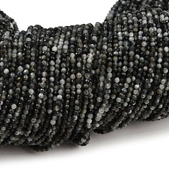 Natural Eagle Eye Stone Beads Strands&nbsp;G-RM250101-E6