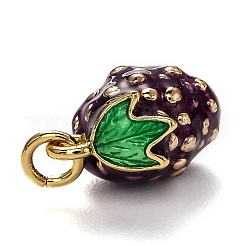 Brass Enamel Charms&nbsp;KK-B028-11G