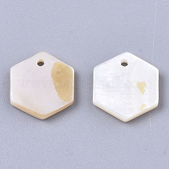 Natural Freshwater Shell Charms&nbsp;SHEL-R047-18