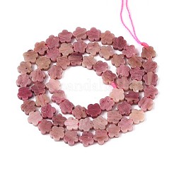 Natural Rhodonite Beads Strands&nbsp;G-N257-24A-09