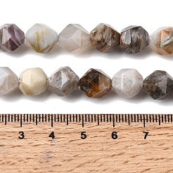 Natural Bamboo Leaf Agate Beads Strands&nbsp;G-Z119-A27-03