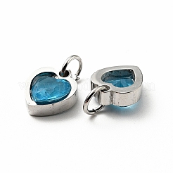 304 Stainless Steel Pendants&nbsp;STAS-D189-06P-08