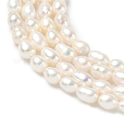 Natural Cultured Freshwater Pearl Beads Strands&nbsp;PEAR-C004-03