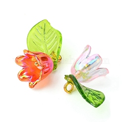 10Pcs 5 Colors Acrylic & Plastic Pendants&nbsp;OACR-YW0001-63