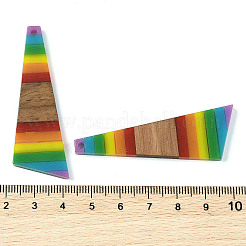 Pride Rainbow Theme Resin & Walnut Wood Pendants&nbsp;WOOD-K012-08A
