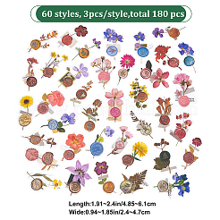 180Pcs 6 Styles Waterproof Self Adhesive PET Stickers&nbsp;DIY-CP0007-02