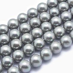 Shell Pearl Beads Strands&nbsp;BSHE-L026-05-8mm