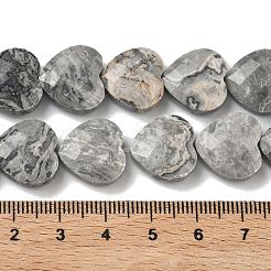 Natural Map Stone Beads Strands&nbsp;G-A309-A17-01
