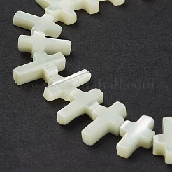Natural Trochid Shell/Trochus Shell Beads Strands&nbsp;SSHEL-K027-03