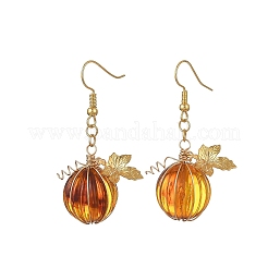 Transparent Acrylic 304 Stainless Steel Dangle Earrings&nbsp;EJEW-TA00828