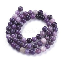 Natural Lepidolite/Purple Mica Stone Beads Strands&nbsp;G-K415-6mm