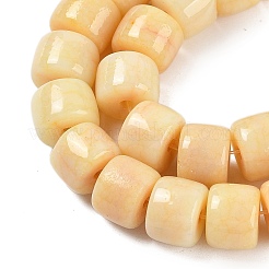 Ombre Effect Dyed Glass Beads Strands&nbsp;GLAA-H037-01D