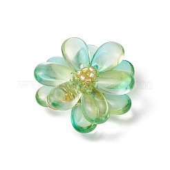 Transparent Glass Pendants&nbsp;PALLOY-MZ00723-07