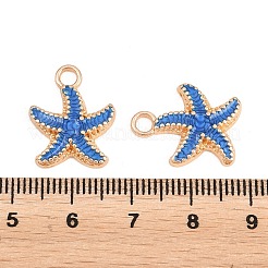Alloy Enamel Pendants&nbsp;PALLOY-F224-10G-02