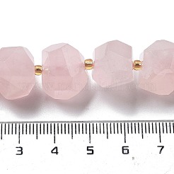 Natural Rose Quartz Beads Strands&nbsp;G-B094-E01-01
