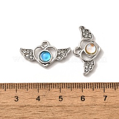 Alloy Pendants&nbsp;FIND-H015-23P