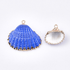 Spray Paint & Electroplate Sea Shell Pendants&nbsp;SSHEL-S262-08