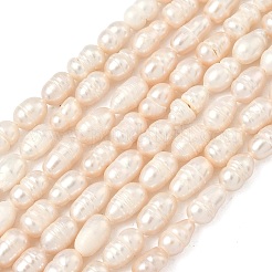 Natural Cultured Freshwater Pearl Beads Strands&nbsp;PEAR-D003-01D-16