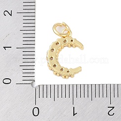 Rack Plating Brass Micro Pave Clear Cubic Zirconia Charms&nbsp;KK-Z060-09G-02