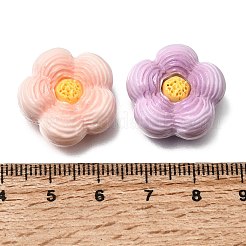 Opaque Resin Imitation Food Cabochons&nbsp;RE-CBA7952-03