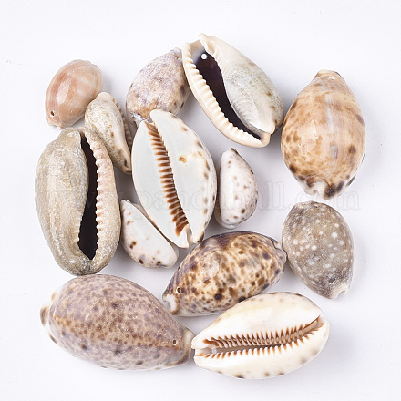 Cowrie Shell Pendants SSHEL-T008-27-1