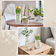 2Pcs Acrylic Vase&nbsp;AJEW-WH0410-125-5