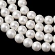 Round Shell Pearl Bead Strands&nbsp;BSHE-L011-4mm-A013A-3